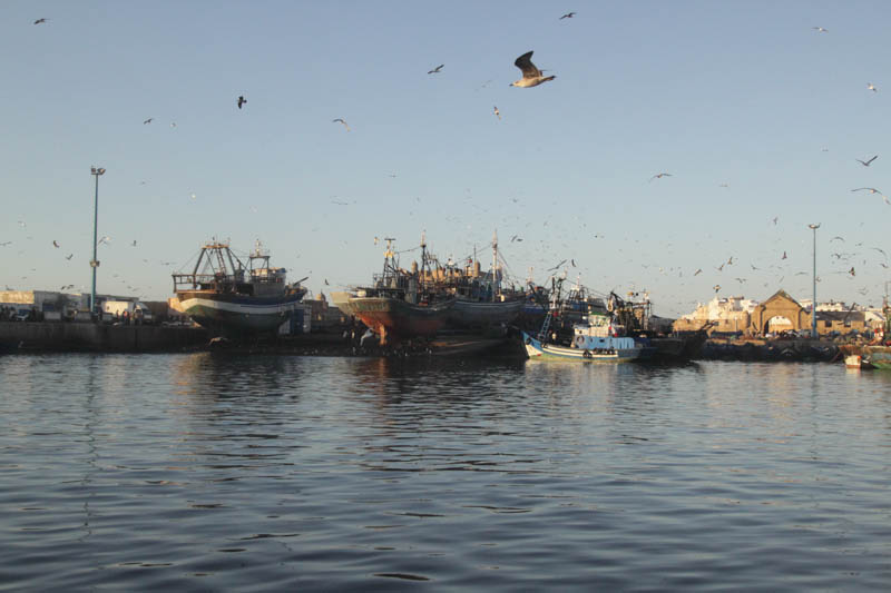 essouira-2