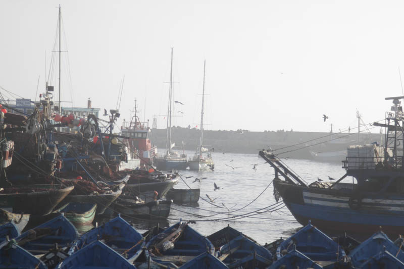 essouira-7