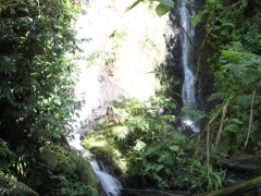 photo-3
