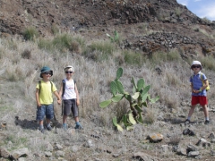 portosanto-2