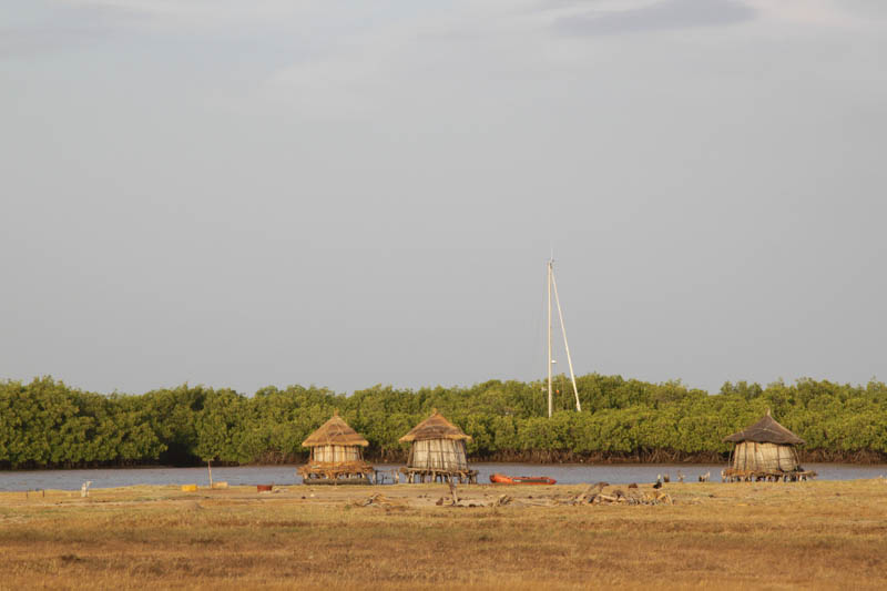 moussespic.senegal