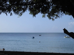 Tobago-1