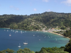 Tobago-11