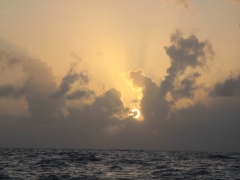 photo-8