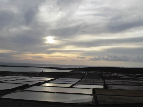 Les salines