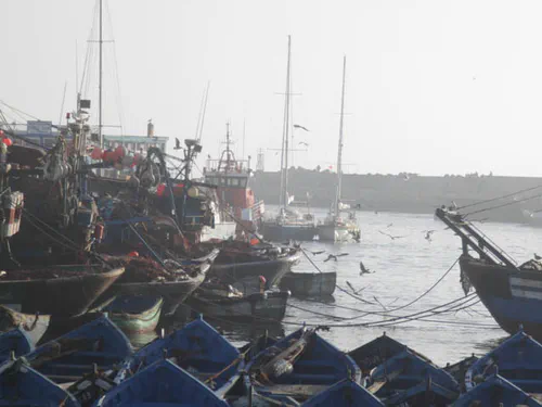 Moussespic dans le port