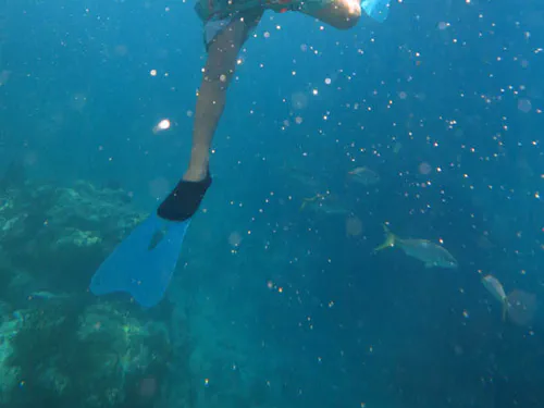 Dans l'eau