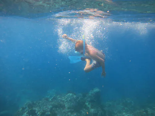 Dans l'eau