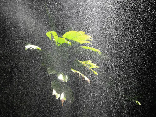 Cascade