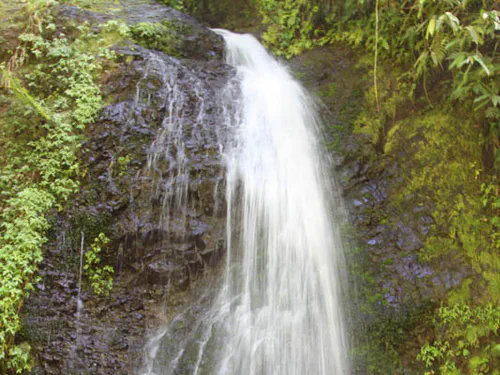 Saut gendarme