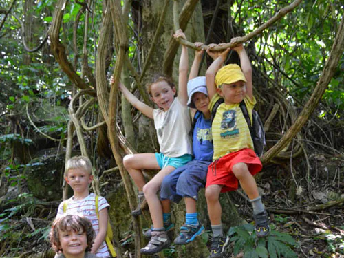 In the jungle