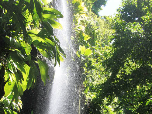Cascade couleuvre
