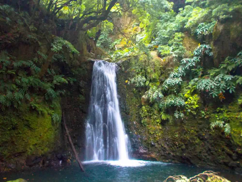 La super cascade froide