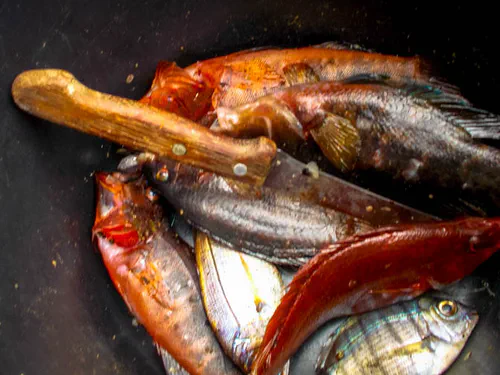 Pêche des pêcheurs