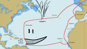 baleine