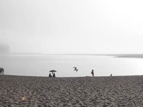 La lagune