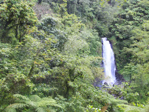Mama falls