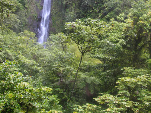Papa falls