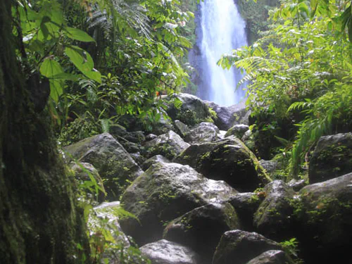 Mama falls