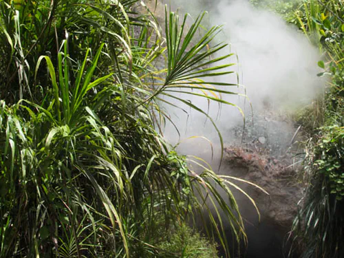 Sulphur Springs de Wotten Waven