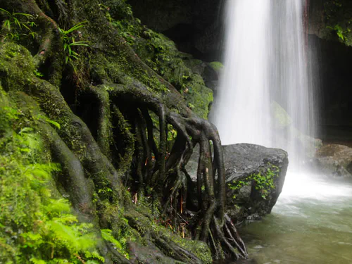 Emerald Pool