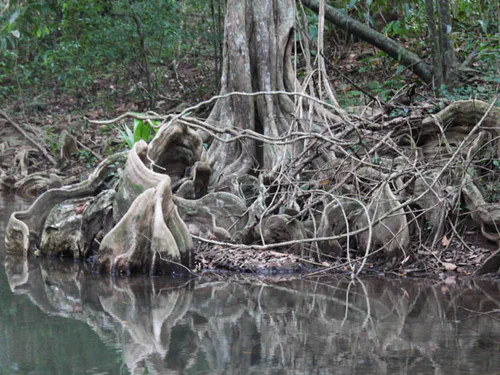 Indian River