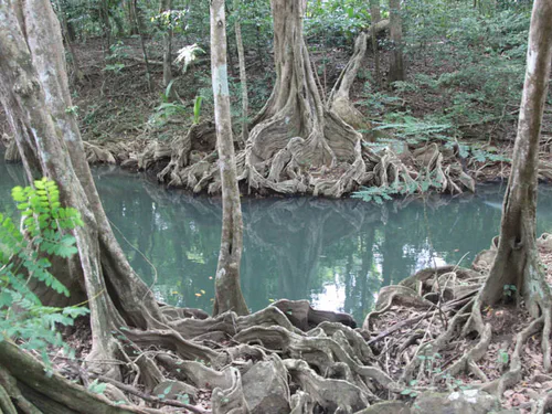 Indian River