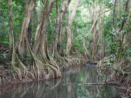 Indian River