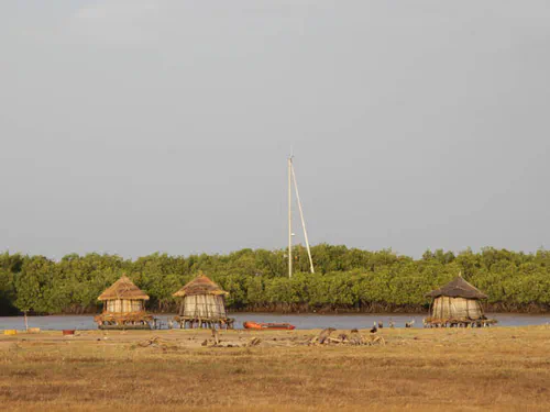 Mouillage dans les palétuviers