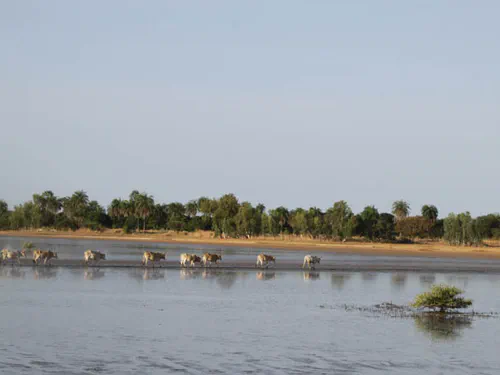 Alentours de Moundé